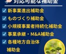 小規模事業者持続化補助金の計画書をサポートします 補助金業務10年、140社の実績でサポート！ イメージ3