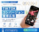 TikTok広告の設定代行やレクチャー致します 【認知拡大】配信までの初期設定や設定レクチャーを全力サポート イメージ1