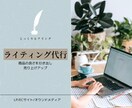 LP、ECサイトのセールスライティング代行します 現役のMAKUAKEライターが、売り上げUPをお手伝いします イメージ1