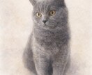 背景のごちゃごちゃ、きれいにします 写真を自然に、すっきり整えます イメージ3