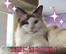 よろず相談致します ●ダメ恋脱却●人間関係●子育て●嫁姑●夫婦●様々な愚痴 イメージ1