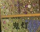 高額会計などに!デコ伝票、キラキラ伝票作ります 安心の1ヶ月補償!図柄なども丁寧にヒアリングします。 イメージ4