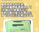 わんちゃんのしつけのご相談承ります 動物専門学校卒業、元動物看護師がしつけ教室します！ イメージ1