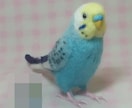 あなたの小鳥をモデルに羊毛フィギュアを制作します 自分の小鳥のグッズをあきらめていた方必見！　小型～中型インコ イメージ3