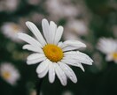 疲れた心をほぐす時間❀気持ちを全部受け止めます 話して発散！／雑談も◎明日からまた頑張りたいあなたに イメージ5