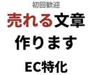 売れる商品説明文をプロ構成で作成します 売れない原因、文章で解決します イメージ1