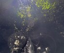 あなたの心の涙を拭います 誰にも理解されない心の声を聴かせてください イメージ6