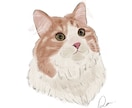 猫ちゃんのイラストをふんわり可愛いくお描きします Cat Portrait Illustration イメージ3