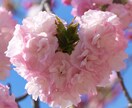 介護の現場で頑張ってる皆様の、お話しを聞きます 現場は本当に大変なので愚痴ちゃって下さい。 イメージ1