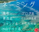 心に響く、ネーミングorキャッチコピー5案考えます お客様の"コトバ"の悩み、石垣島で育てた感性で解決します。 イメージ2