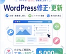 WordPressの修正・更新を丁寧に対応します 文章・画像差し替えや表示調整など小さな修正も承ります イメージ1
