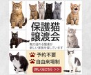 バナー、ヘッダー等各種WEB画像制作します 丁寧なヒヤリングでご納得頂ける商品を提供いたします イメージ7