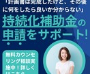 持続化補助金の計画書作成後の申請サポートを行います 事業計画書は完成したけど、その後のサポートが欲しい方へ！ イメージ1