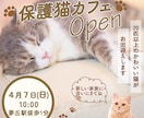 売れる・伝わるWEB画像ご提案します 修正無制限！あなたのイメージ形にします！ イメージ4