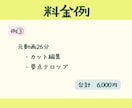 格安シンプル編集|カット&テロップのみ承ります BGM・SEなし、シンプル編集で低価格を実現 イメージ5