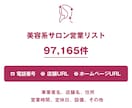 美容系サロン営業リストを即納します 97,165件｜美容系サロン店舗データ 電話・URL情報含む イメージ1