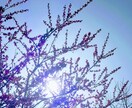 お相手様があなた様を好きになった瞬間を鑑定します 【お相手様の状況と、あなた様を好きになった理由など】 イメージ1