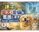 迷子の愛犬・愛猫を霊視します 現在の状況や居場所の手がかりを読み解きます イメージ1