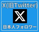 Xツイッター日本人フォロワーを100人〜増やします 【最安】X(旧ツイッター)の日本人100人増加ほぼ減少なし イメージ1
