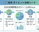 先着5名/-27kg痩せた魔法の計算シート作ります −27kg達成者が作る！あなた専用「ダイエット攻略シート」 イメージ2