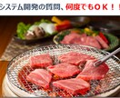1週間システム開発の質問何度も回答します 経験豊富なシステム開発PMがお困りごとを解決！ノウハウ提供！ イメージ1