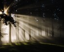 高次の霊視で真実を見抜きます 隠された因縁を暴き未来を正しい軌道へ イメージ5