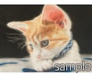 ペットの思い出を色鉛筆で形にします 写真から温もりある1枚を。想い出を形にする一点ものの絵 イメージ4