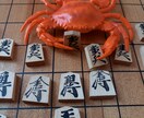 ウォーズ初段が一局指して感想やポイントを報告します 楽しく将棋！目指せ初段！2局分/1回・1000円 イメージ1