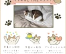 シンプルかわいい猫のLINEスタンプ作成します 愛猫の個性を大切に、毎日使いたくなるオリジナルスタンプ イメージ1