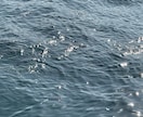 長崎佐賀福岡方面の一部の場所の釣れる魚を教えます 釣行前に、釣れる魚の場所のポイントを知りたくないですか？ イメージ1