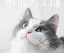 Instagramの投稿・図解画像を制作します 世界観に合わせた大人可愛い・オシャレなデザインをお届けします イメージ2