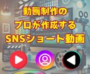 丸投げOK！ショート動画を編集いたします 累計2,000本以上の動画を作成！ イメージ1