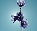 恋愛成就鑑定／これからのご縁を結びます ✿あの人の特別になる✿ 可能性/相性/時期/遠距離 イメージ4