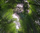 自然の風景と、たまに動物が紛れます 自然の癒し、掛け替えのない風景大地の雄大感。出会う動物たち イメージ8