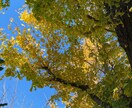 自然のお写真を提供します ふと立ち止まって見えた景色を撮っています イメージ4