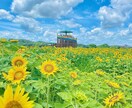 自分が話しすぎず、相手に話してもらえる空気作ります 「誰かがいてくれる」と思えるような安心の提供 イメージ2