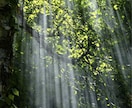 家族、友達にも話せない愚痴聞きます 全部喋って楽になりませんか？愚痴以外もOK イメージ1