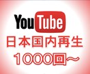 YouTube日本国内再生1000回〜増加させます 日本エリアでの拡散！格安でも高品質！保証あり イメージ8