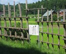 歴女大歓迎！愛知県の史跡巡りプランを提案いたします☆ イメージ2