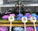 あなたの悩みに寄り添ってお話し聞きます たくさんの経験をしてきた私だからこそ、寄り添えます。 イメージ3