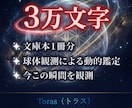 スピリチュアル鑑定◆スターシードの使命を解明します 全15章の分析◆前世のルーツやツインレイの縁まで解読 イメージ2