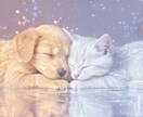 凛子式・星の犬と月の猫で恋を占って導きます | 行動と感情のズレを癒やす恋愛スピリット診断 イメージ1