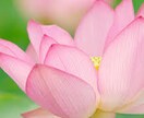 女性限定♡ともにい☺︎がどんな話でも相手になります 気軽にラフな感じでどなたでもどうぞ♪ イメージ6
