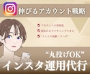 ターゲットに刺さるインスタ運用します ファン化が止まらないインスタ運用お任せください♪ イメージ1