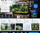 Amazon・EC商品画像をおまかせ制作しますます 現役Amazonセラーに商品画像を丸投げできます。 イメージ3