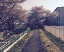 悩み、愚痴、なんでも話し相手になります 皆さんの気持ちが少しでも楽になりますように。 イメージ1