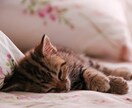 言ってほしい言葉..｡なんでも言います 癒し、おねだり、甘やかし、慰め…お望みの言葉、教えて下さい イメージ5