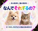 犬の気持ち・猫の気持ちをオーラから読み解きますます 「なんでそれするの？」その子なりの理由があります イメージ1
