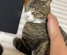 楽しむことを大切にできるようにします 辛い、何していいのか分からない、まずは話してください。 イメージ1