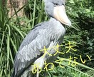 不登校･起立性調節障害･いじめ 解決策提案します 教師歴22年･我が子不登校経験有･メンタルトレーナー資格 イメージ3